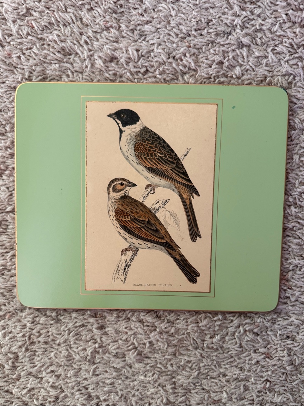 Vtg bunting bird tray